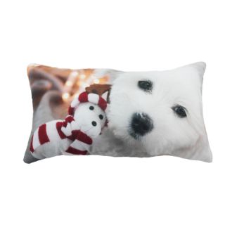 TOUTOU NOEL Coussin (30x50) multi